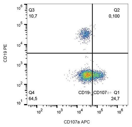 CD107a antibody (APC)