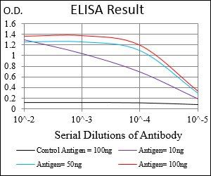 CD10 Antibody