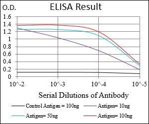 CD10 Antibody