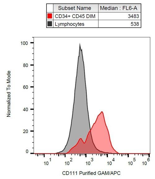CD111 antibody