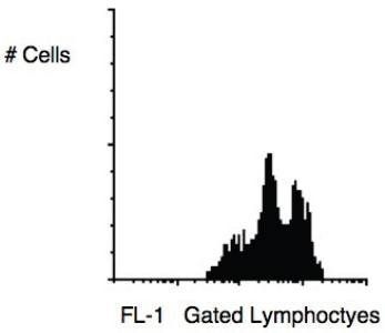 CD11a antibody (FITC)