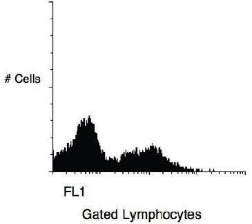 Mouse anti Human CD11b, conjugated with Biotin
