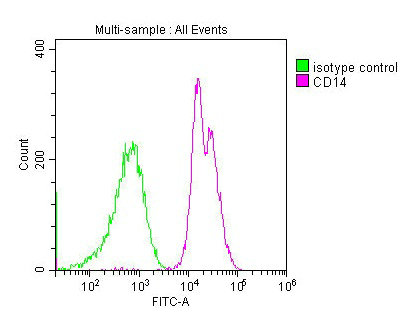 CD14 Monoclonal Antibody