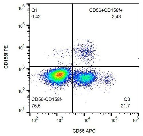 CD158f antibody (PE)