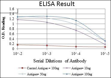 CD1A Antibody