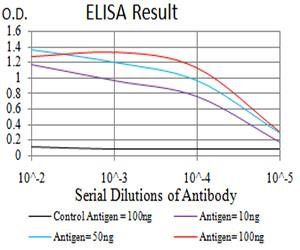 CD2 Antibody