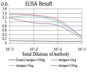 CD2 Antibody