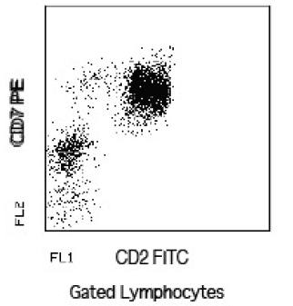 CD2, CD7 antibody (FITC, PE)