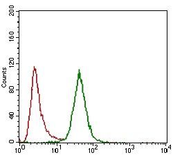 CD24 Antibody