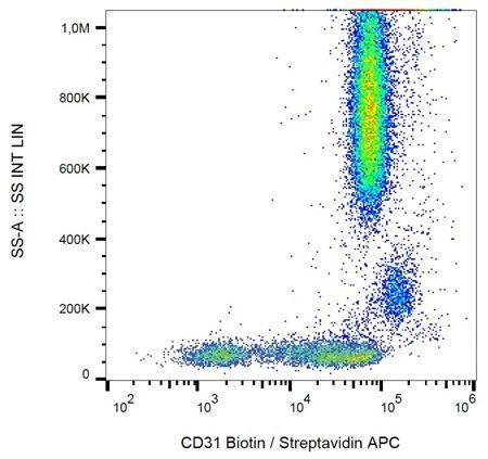 CD31 antibody (Biotin)