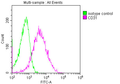 CD31 Monoclonal Antibody