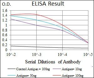 CD33 Antibody