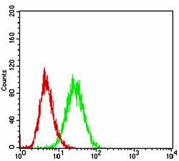 CD36 Antibody