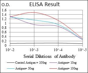 CD38 Antibody