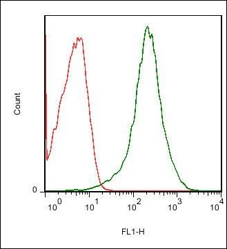 CD39 antibody