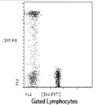 Mouse anti Human CD4 FITC - CD8 PE