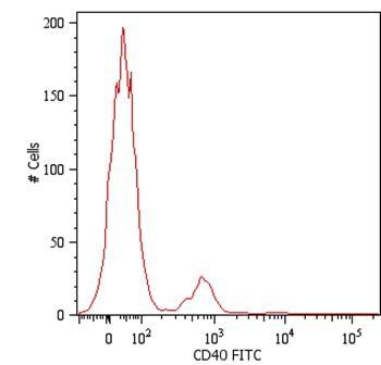 CD40 antibody (FITC)