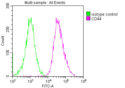 CD44 Monoclonal Antibody