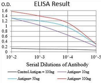 PTPRC Antibody