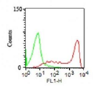 CD45RA (Leucocyte Marker) Antibody