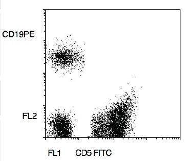 CD5, CD19 antibody (FITC, PE)
