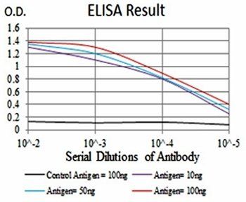 CD6 Antibody