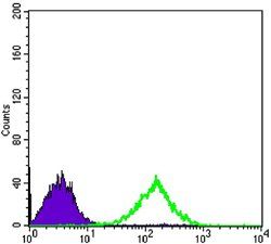 CD69 Antibody