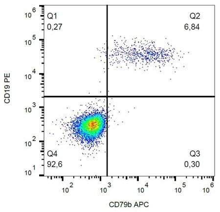 CD79b antibody (APC)