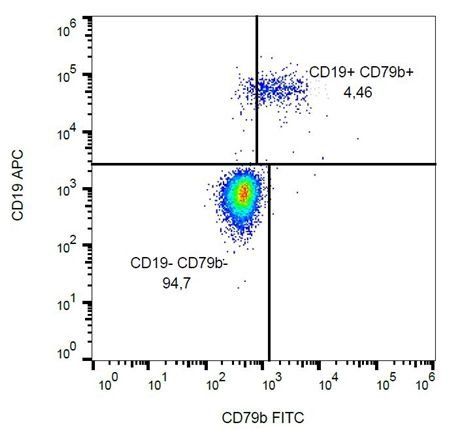 CD79b antibody (FITC)