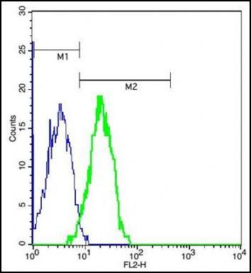 CD8 Rabbit Polyclonal Antibody