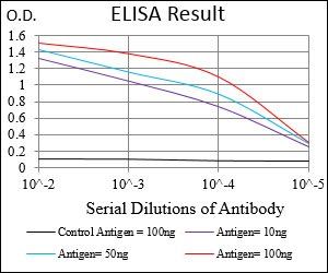 CD93 Antibody