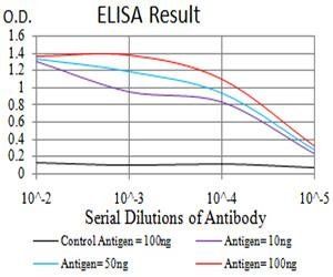 CDH11 Antibody