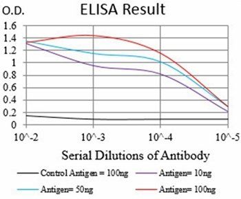 CDH17 Antibody