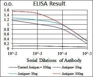 CEBPA Antibody