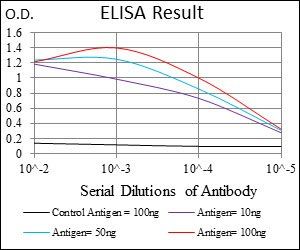 CFLAR Antibody