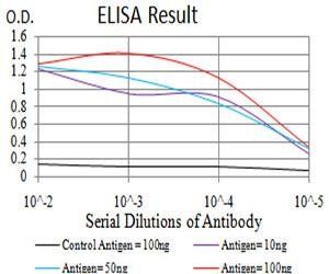 CGB Antibody