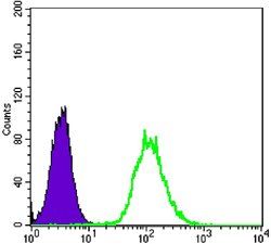 CK7 Antibody