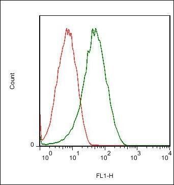Claudin 14 Rabbit Polyclonal Antibody