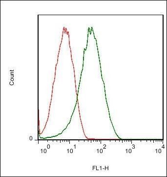 Claudin 14 antibody