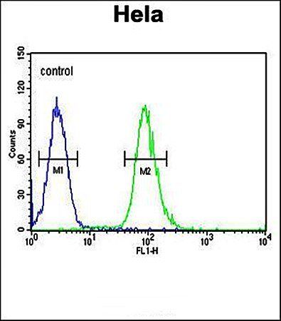 CLDN7 antibody