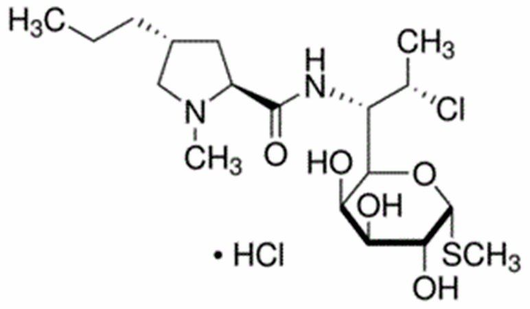 Clindamycin HCl (Dalacin)