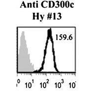 Anti-CMRF (cd300c) antibody