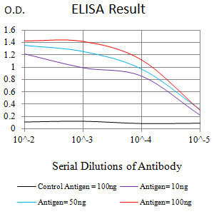 COL1A1 Antibody