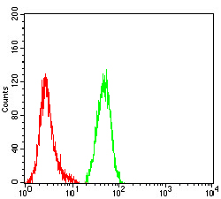 COL1A1 Antibody