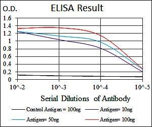 COTL1 Antibody