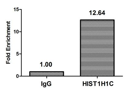Crotonyl-HIST1H1C (K158) antibody