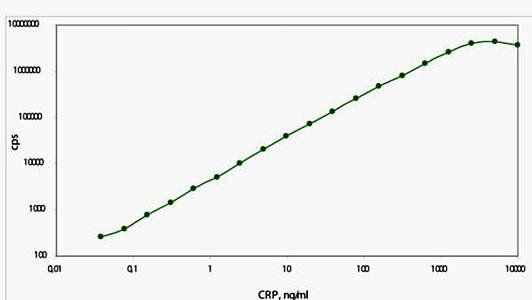 C-Reactive Protein (CRP) Antibody