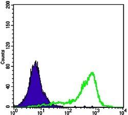 CRTC1 Antibody