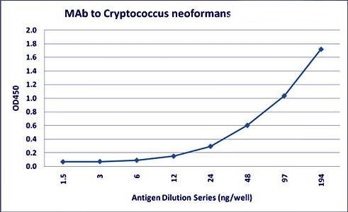 Cryptococcus neoformans Antibody