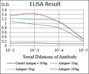 CSF1R Antibody